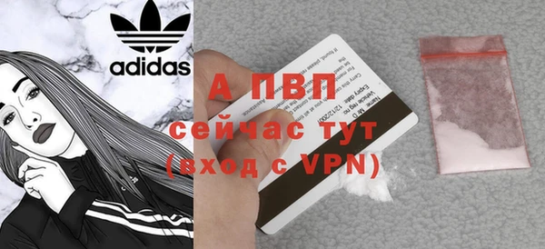 ECSTASY Краснослободск